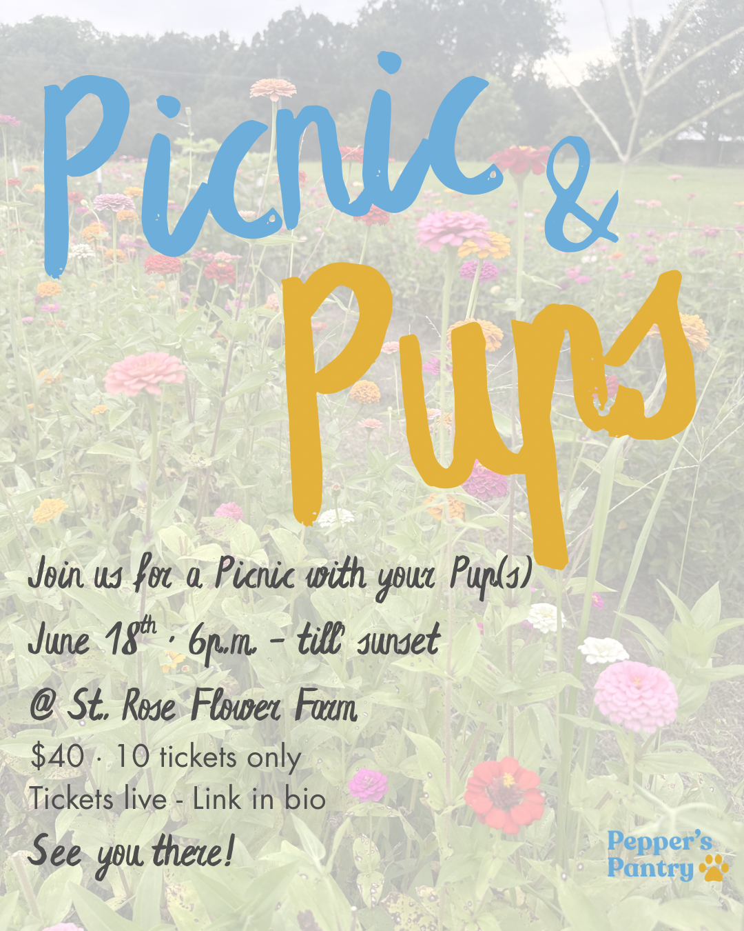 Picnic & Pups Event