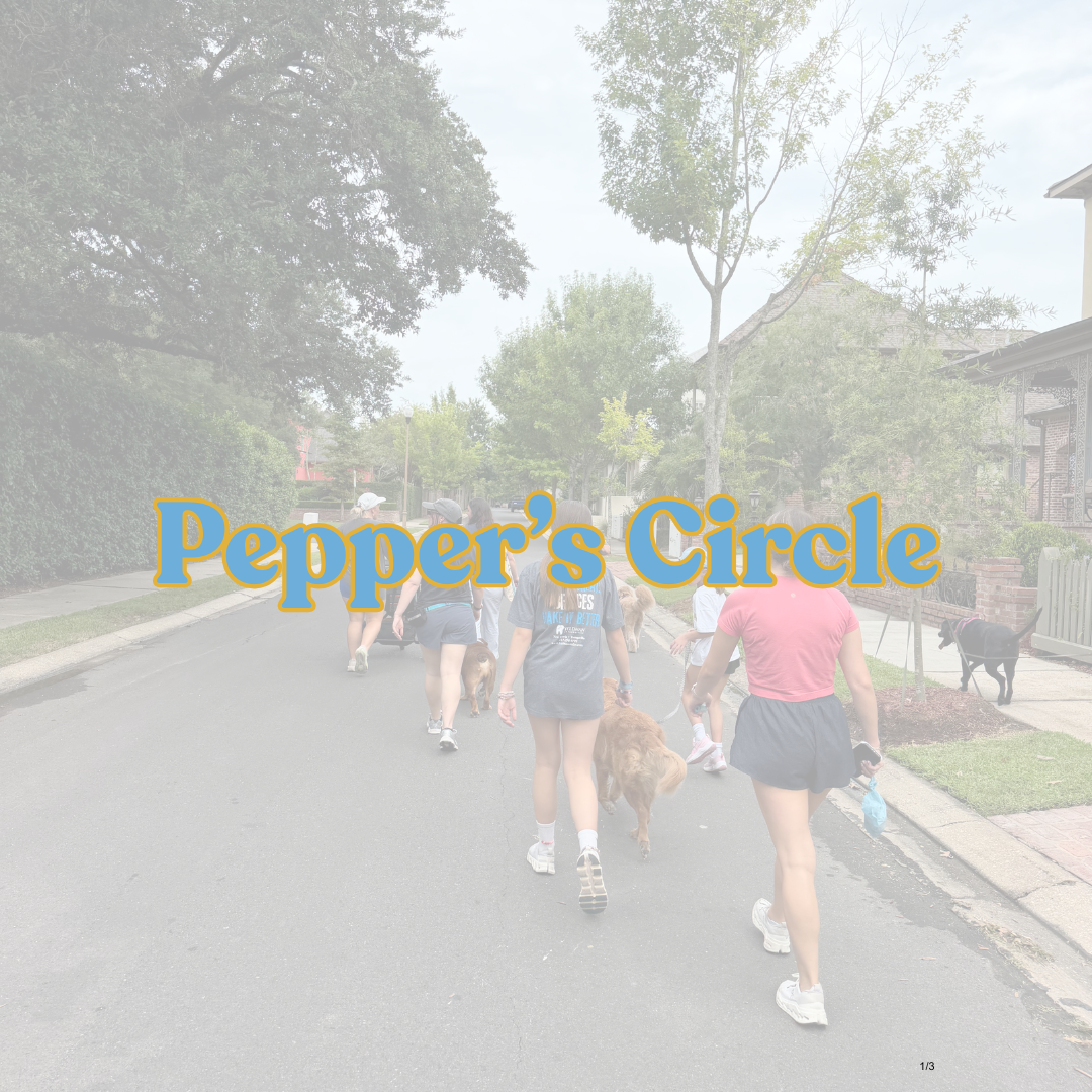 Pepper's Circle — (Annual)